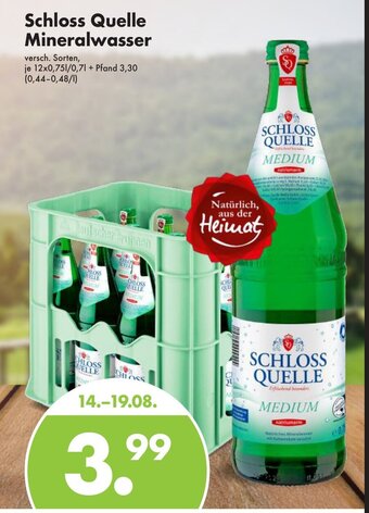 Trink und Spare Schloss Quelle Mineralwasser 12*750ml Angebot