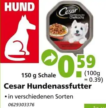 Globus Baumarkt Cesar Hundenassfutter 150g Angebot