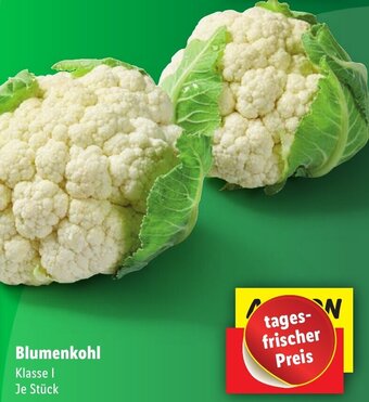 Lidl Blumenkohl Angebot