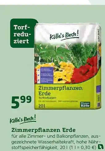 Pflanzen Kölle Kölle's Beste Zimmerpflanzen Erde Angebot