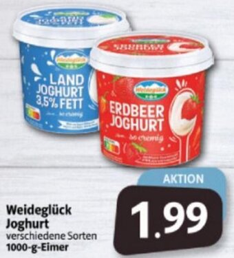 Markant Markt Weideglück Joghurt 1000-g-Eimer Angebot