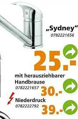 Globus Baumarkt „sydney” Mit Herausziehbarer Niederdruck Angebot