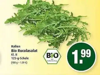 Markant Bio Rucolasalat Angebot