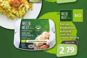 Markant Markt Eier Us Bruderhahn-aufzucht Natur Wert Bio Angebot