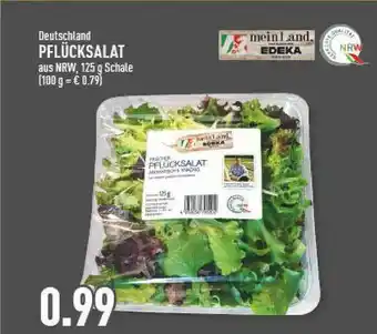 Marktkauf Pflücksalat Angebot