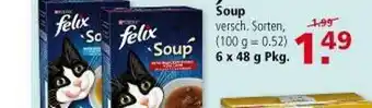 Multi Markt Soup Felix Angebot