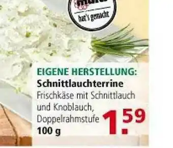 Multi Markt Eigene Herstellung : Schnittlauchterrine Angebot