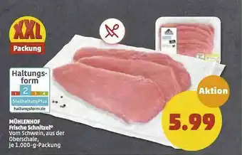 PENNY Mühlenhof Frische Schnitzel Angebot