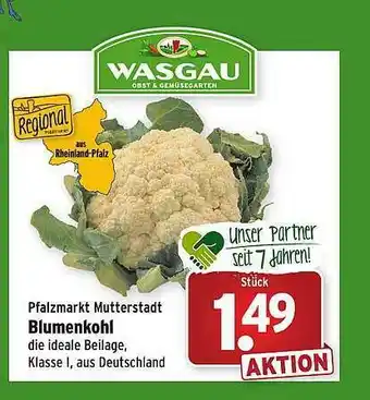 Wasgau Pfalzmarkt Mutterstadt Blumenkohl Angebot