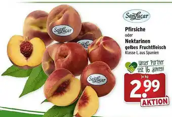 Wasgau Sanlucar Pfirsiche Oder Nektarinen Gelbes Fruchtfleisch Angebot