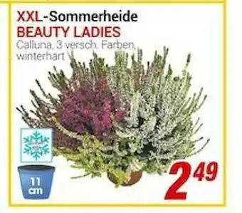 CENTERSHOP Xxxl-sommerheide Beauty Ladies Angebot