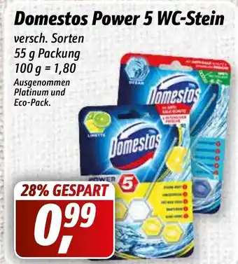 Simmel Domestos Power 5 WC Stein 55g Angebot