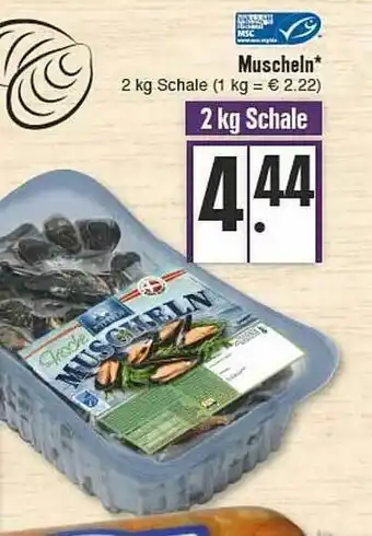 E-Center Muscheln Angebot