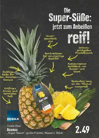 E-Center Costa Rica Ananas Angebot