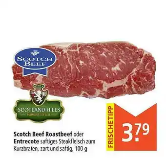 Marktkauf Scotch Beef Roastbeef Oder Entrecote Angebot