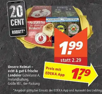 Marktkauf Unsere Heimat 6 Frische Landeier Angebot