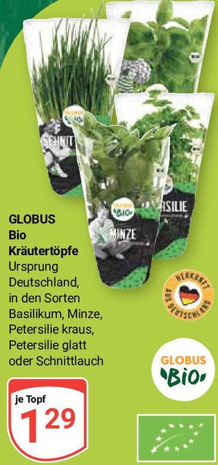 Globus GLOBUS Bio Kräutertöpfe Angebot