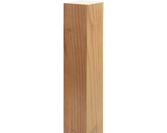 Hornbach Pfosten 9x9x180cm, douglasie Angebot