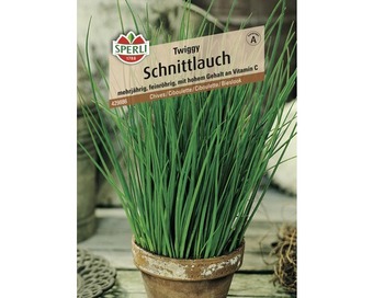 Hornbach Schnittlauch 'twiggy' sperli kräutersamen Angebot