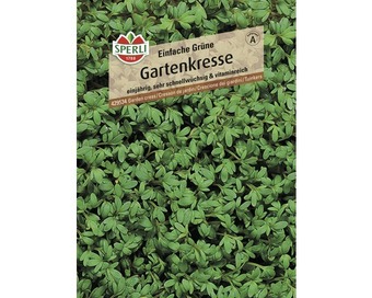Hornbach Kresse 'einfache grüne' sperli kräutersamen Angebot