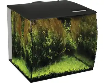 Hornbach Aquarium fluval flex 57 l mit led-beleuchtung, filter, pumpe ohne unterschrank schwarz Angebot