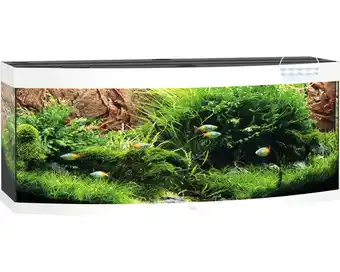 Hornbach Aquarium juwel vision 450 inkl. led-beleuchtung, heizer, filter ohne unterschrank weiß Angebot