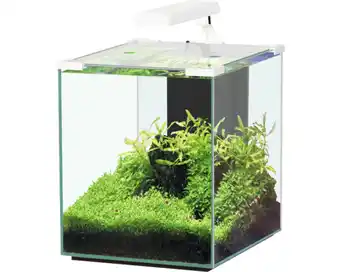 Hornbach Aquarium aquatlantis nano cubic 30 mit frostglasrückseite, led-beleuchtung, filter, heizer, pumpe weiß (ohne schrank) Angebot