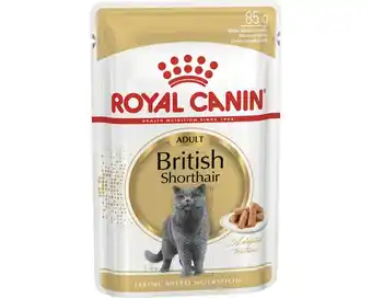 Hornbach Katzenfutter nass royal canin britisch shorthair 85 g Angebot