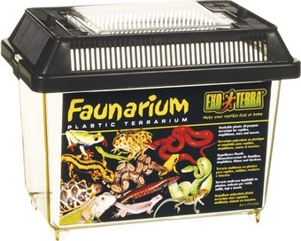 Hornbach Transportbehälter faunarium exo terra 18 x 11 x12,5 cm Angebot