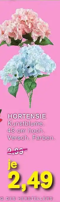 KODi Hortensie Angebot