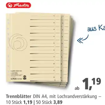 Pfennigpfeiffer Trennblätter DIN A4 Angebot