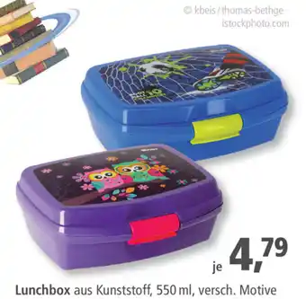 Pfennigpfeiffer Lunchbox aus Kunststoff 550ml Angebot