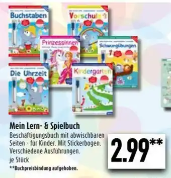 diska Mein Lern & Spielbuch Angebot