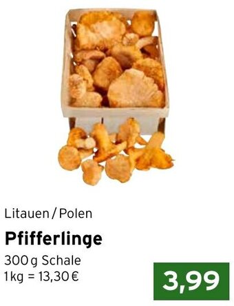 CAP Markt Litauen/Polen Pfifferlinge 300 g Schale Angebot