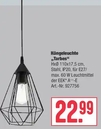 BayWa Hängeleuchte Tarbes Angebot