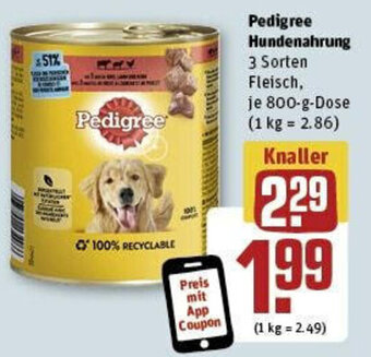 REWE Pedigree Hundenahrung 800 g Dose Angebot