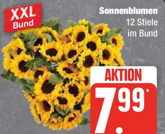 Edeka Sonnenblumen Angebot