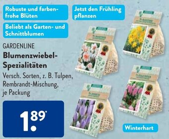 Aldi Süd GARDENLINE Blumenzwiebel Spezialitäten Angebot