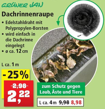 Thomas Philipps GRÜNER JAN Dachrinnenraupe Angebot