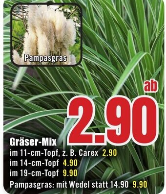 B1 Discount Baumarkt Gräser-Mix Angebot