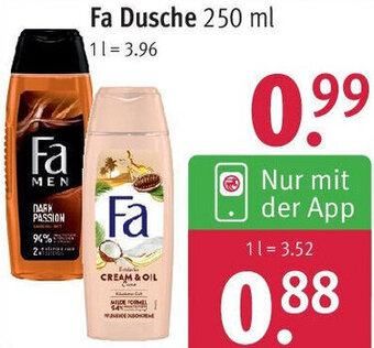 Rossmann Fa Dusche 250 ml Angebot