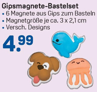 Rossmann Gipsmagnete-Bastelset Angebot