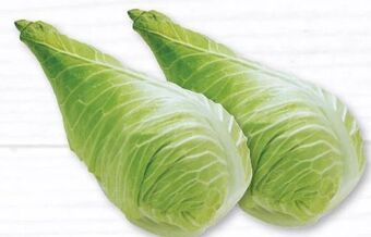 Nah & Frisch Spitzkohl Angebot