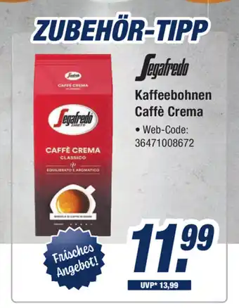 Expert Bening Segafredo Kaffeebohnen Caffe Crema Angebot