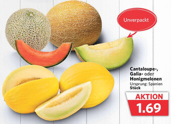 Combi Cantaloupe-, Galia- oder Honigmelonen Angebot