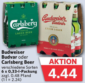 Combi Budweiser Budvar oder Carlsberg Beer 6x0,33 L Packung Angebot