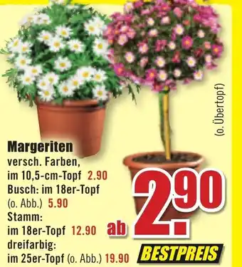 B1 Discount Baumarkt Margeriten Angebot