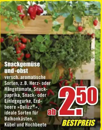 B1 Discount Baumarkt Snackgemüse und Obst Angebot