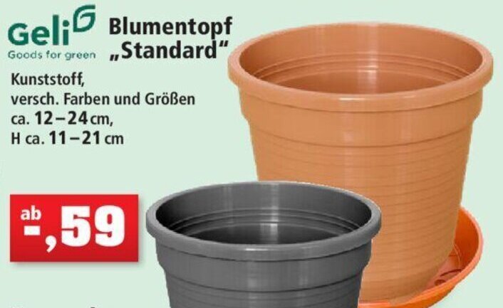 Geli Blumentopf ,,Standard" Angebot bei Thomas Philipps