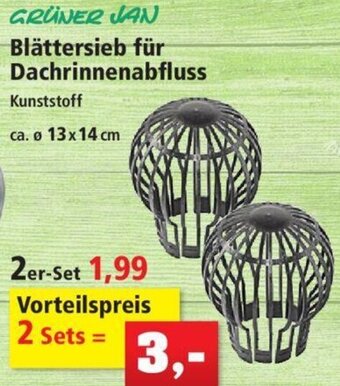 Thomas Philipps GRÜNER JAN Blättersieb für Dachrinnenabfluss Angebot